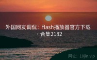 外国网友调侃：flash播放器官方下载 · 合集2182
