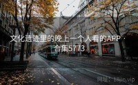 文化遗迹里的晚上一个人看的APP · 合集5773