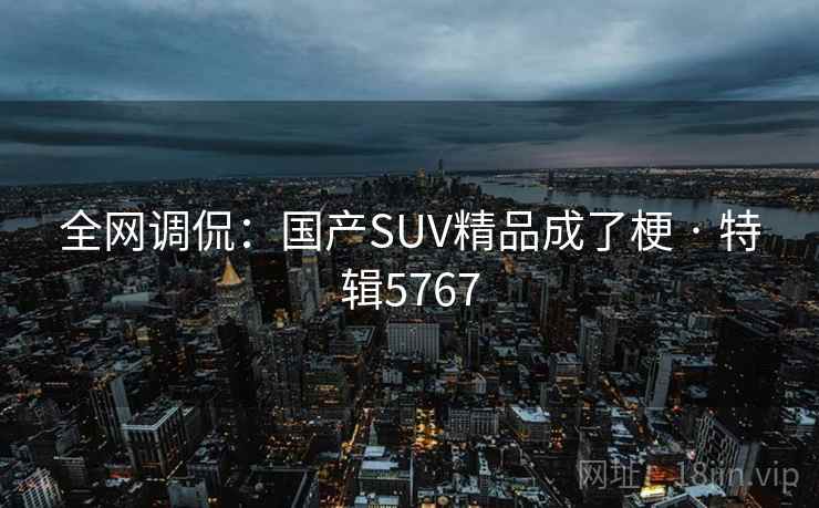 全网调侃：国产SUV精品成了梗 · 特辑5767